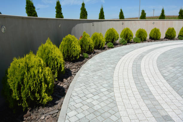 Best Driveway Pavers Contractor  in Ozark, MO